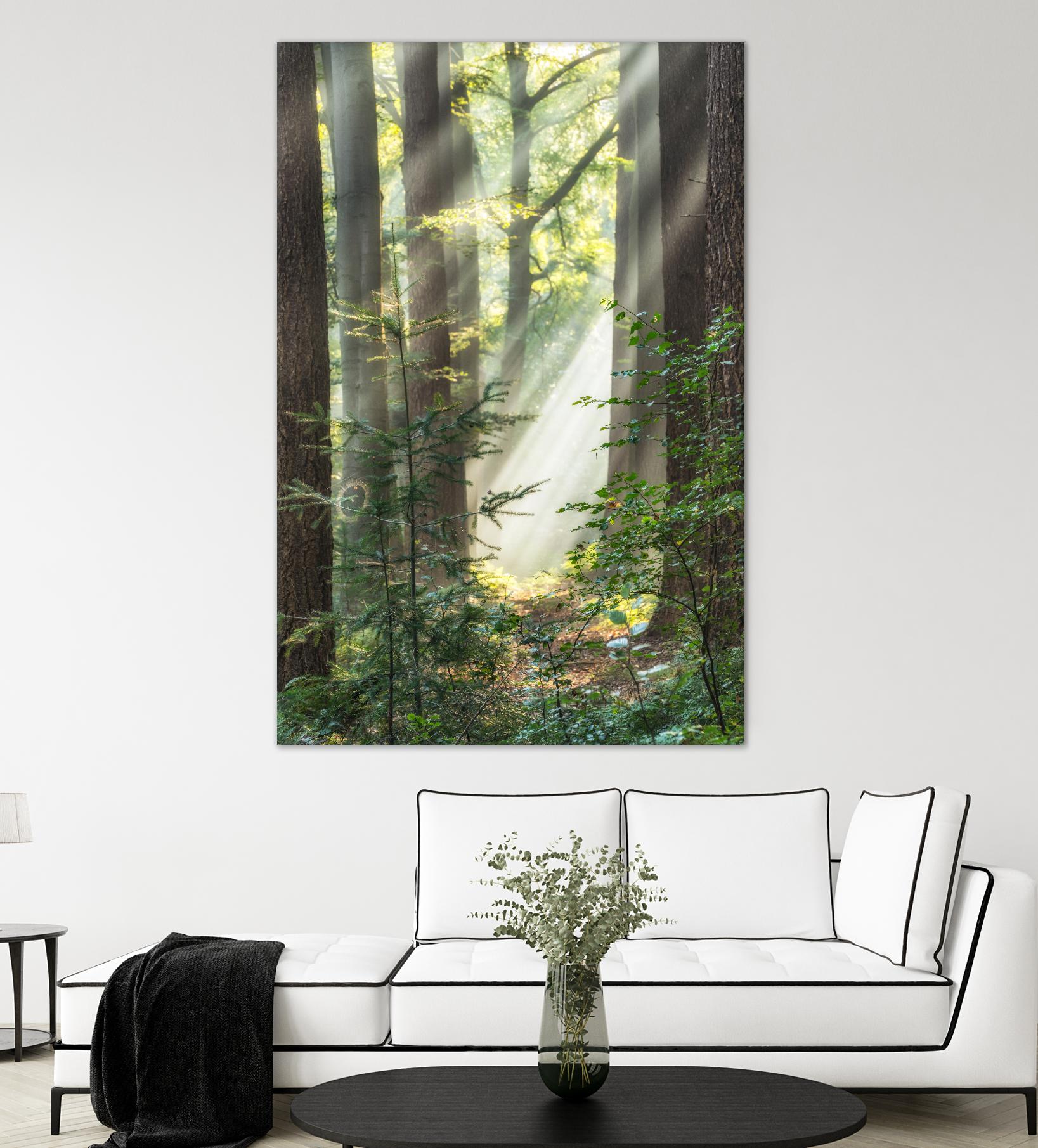 Sunbeam and Spiderweb by Lars Van de Goor on GIANT ART - multicolor photography; landscapes