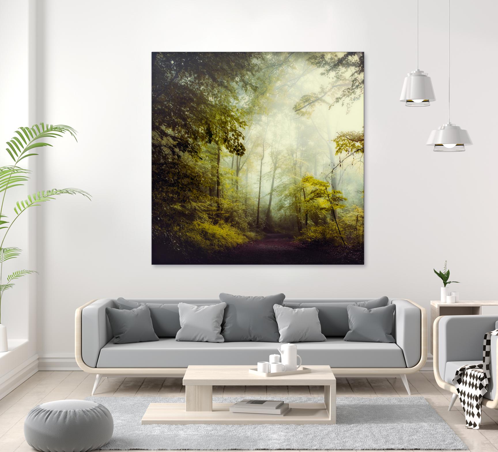 Glorious Woods by Dirk Wuestenhagen on GIANT ART - multicolor photography; landscapes