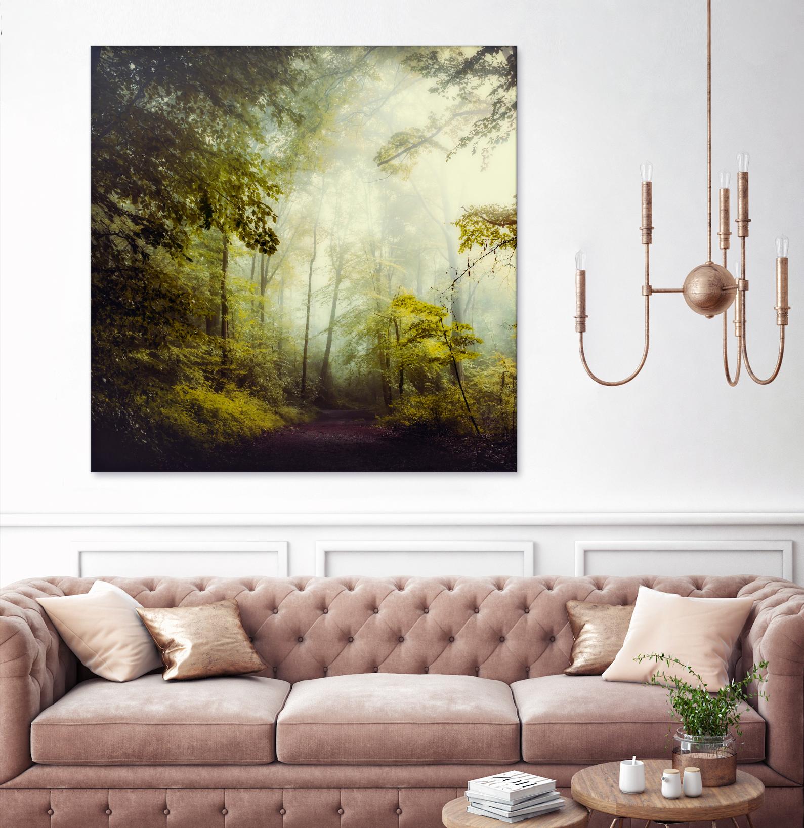 Glorious Woods by Dirk Wuestenhagen on GIANT ART - multicolor photography; landscapes