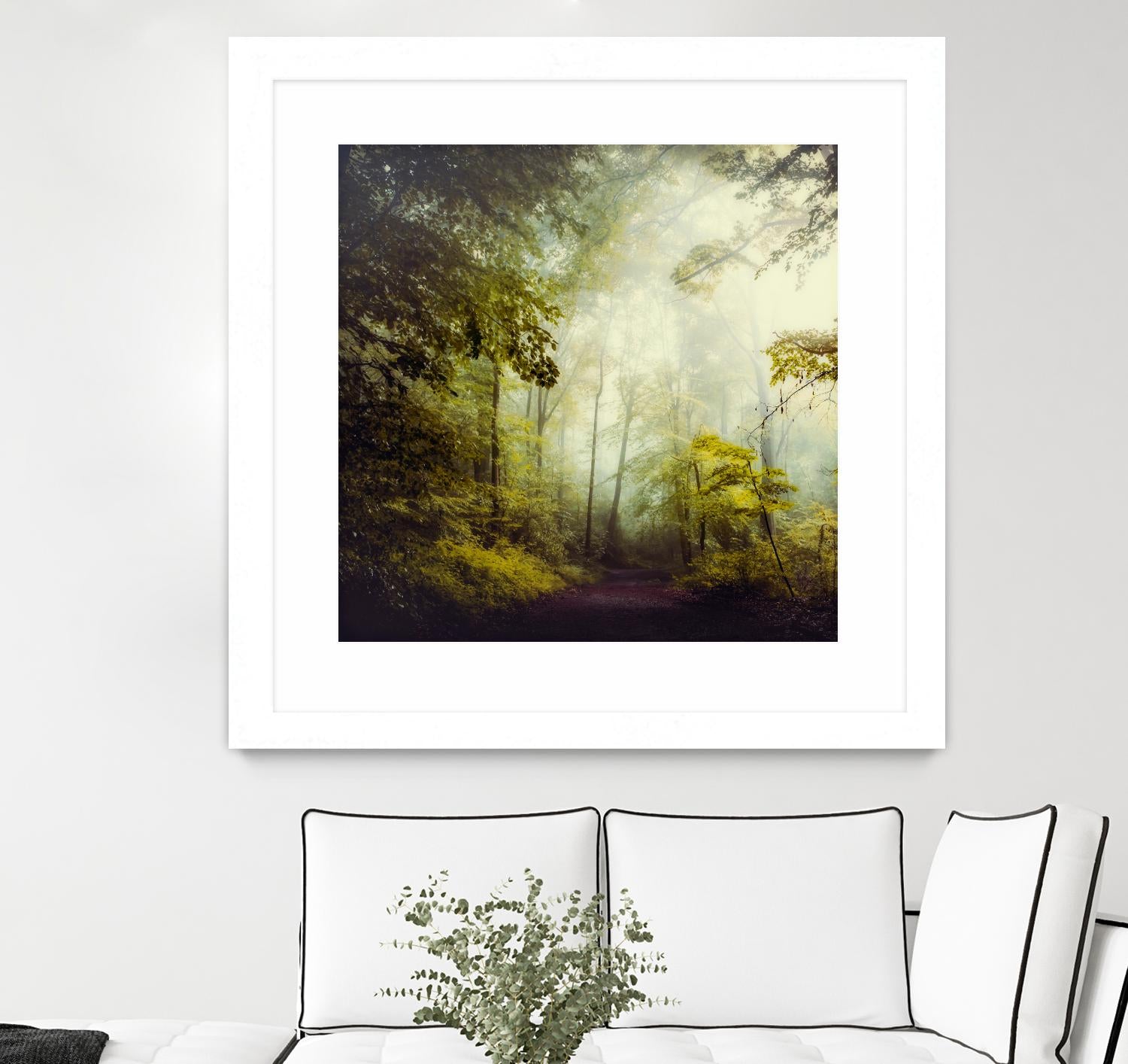 Glorious Woods by Dirk Wuestenhagen on GIANT ART - multicolor photography; landscapes