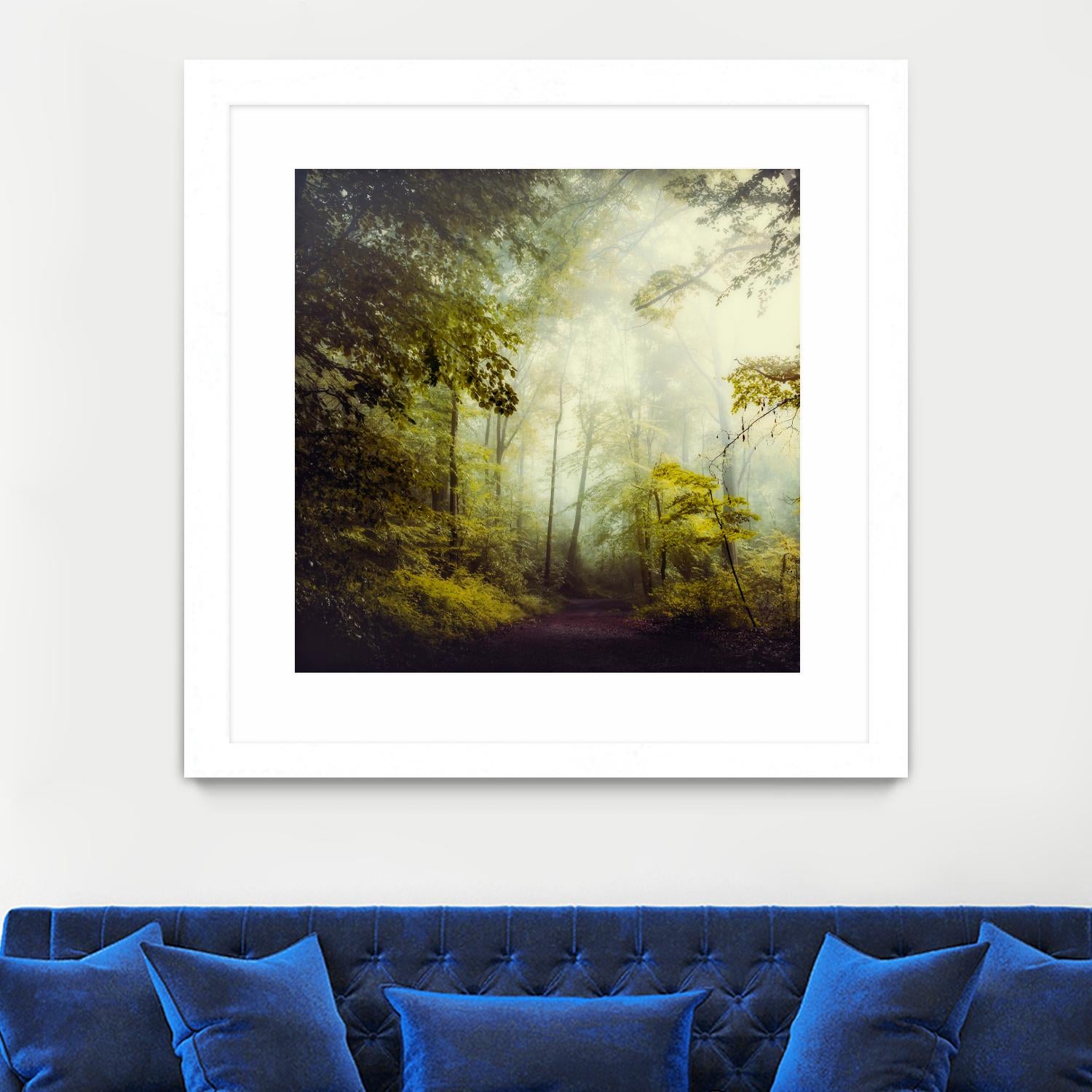 Glorious Woods by Dirk Wuestenhagen on GIANT ART - multicolor photography; landscapes