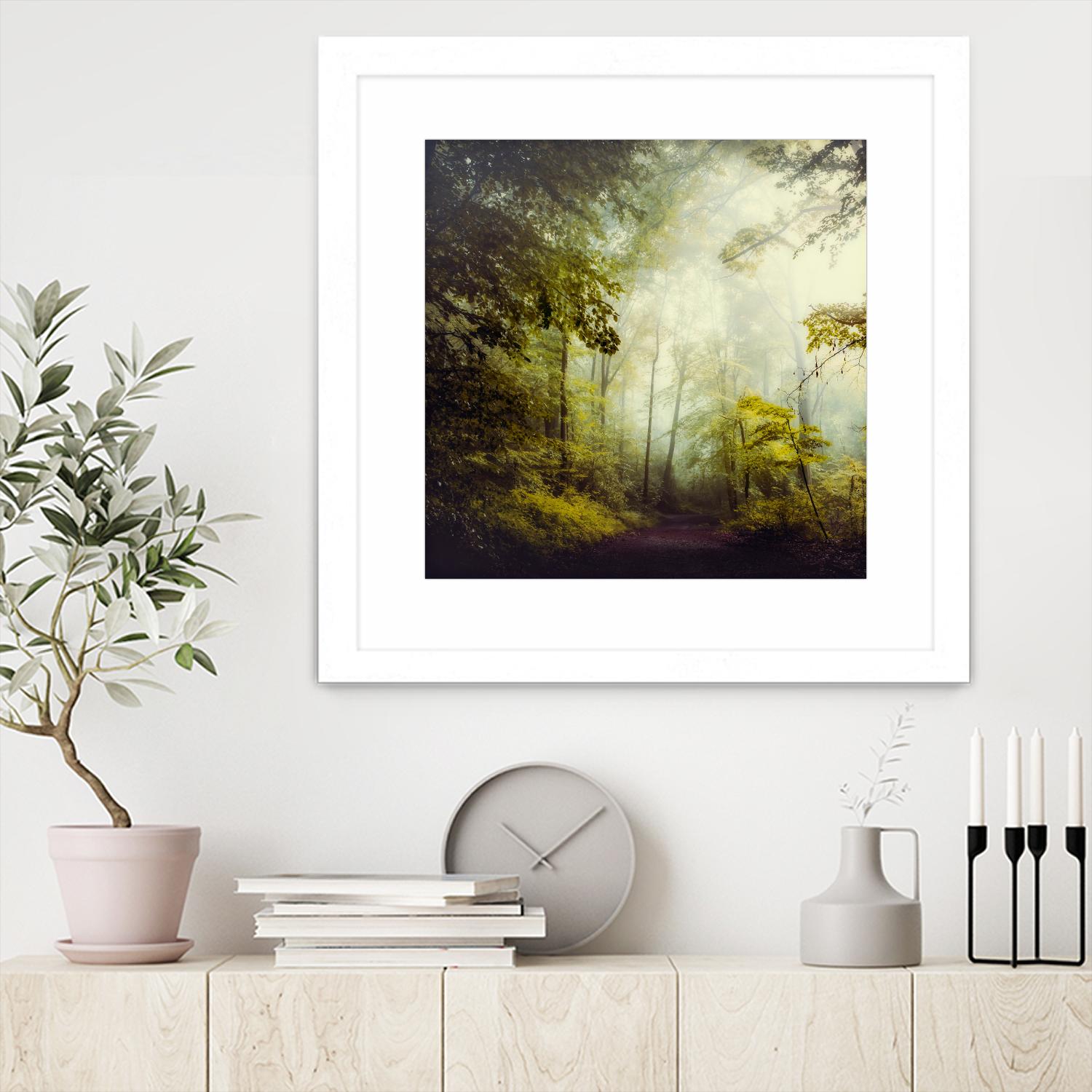 Glorious Woods by Dirk Wuestenhagen on GIANT ART - multicolor photography; landscapes