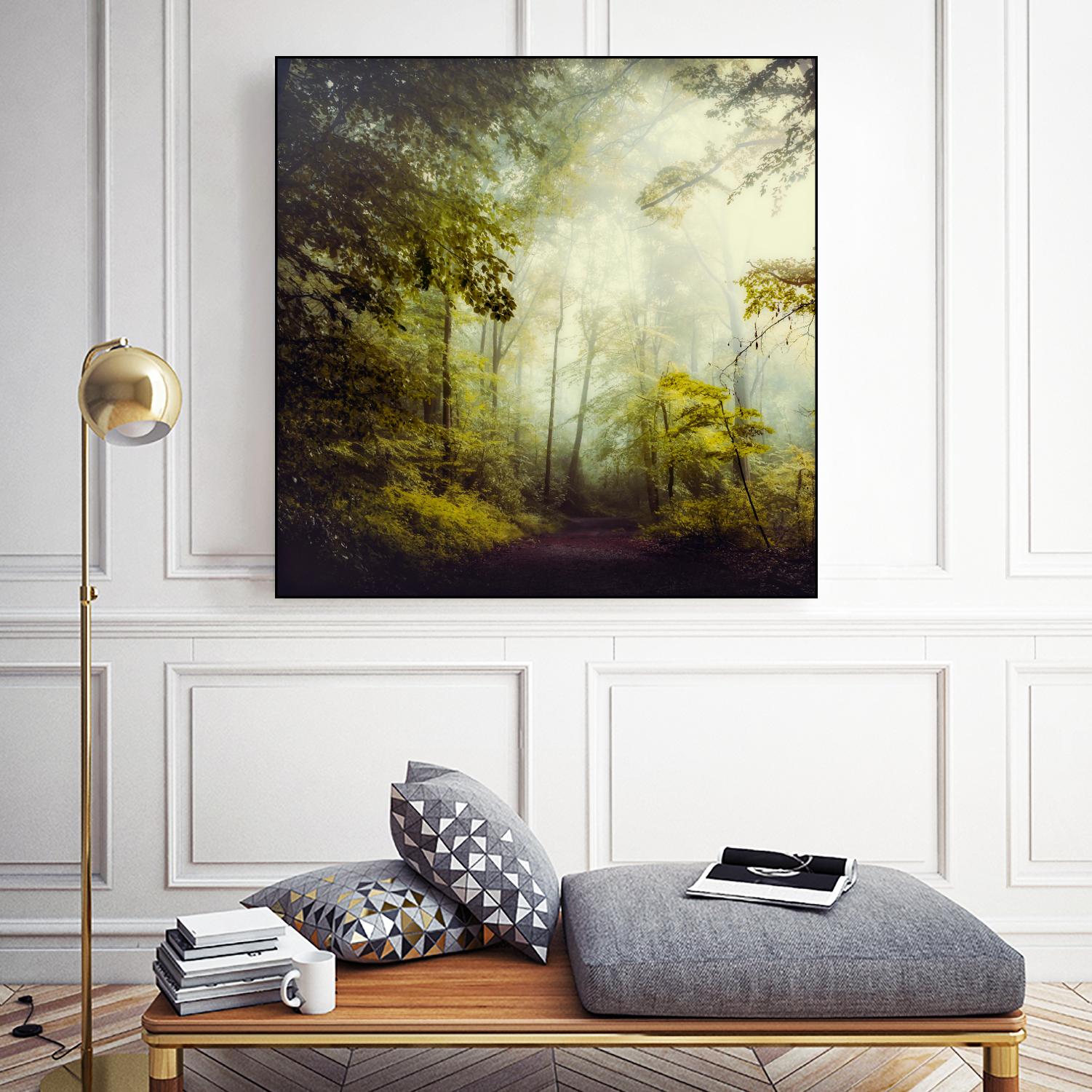 Glorious Woods by Dirk Wuestenhagen on GIANT ART - multicolor photography; landscapes