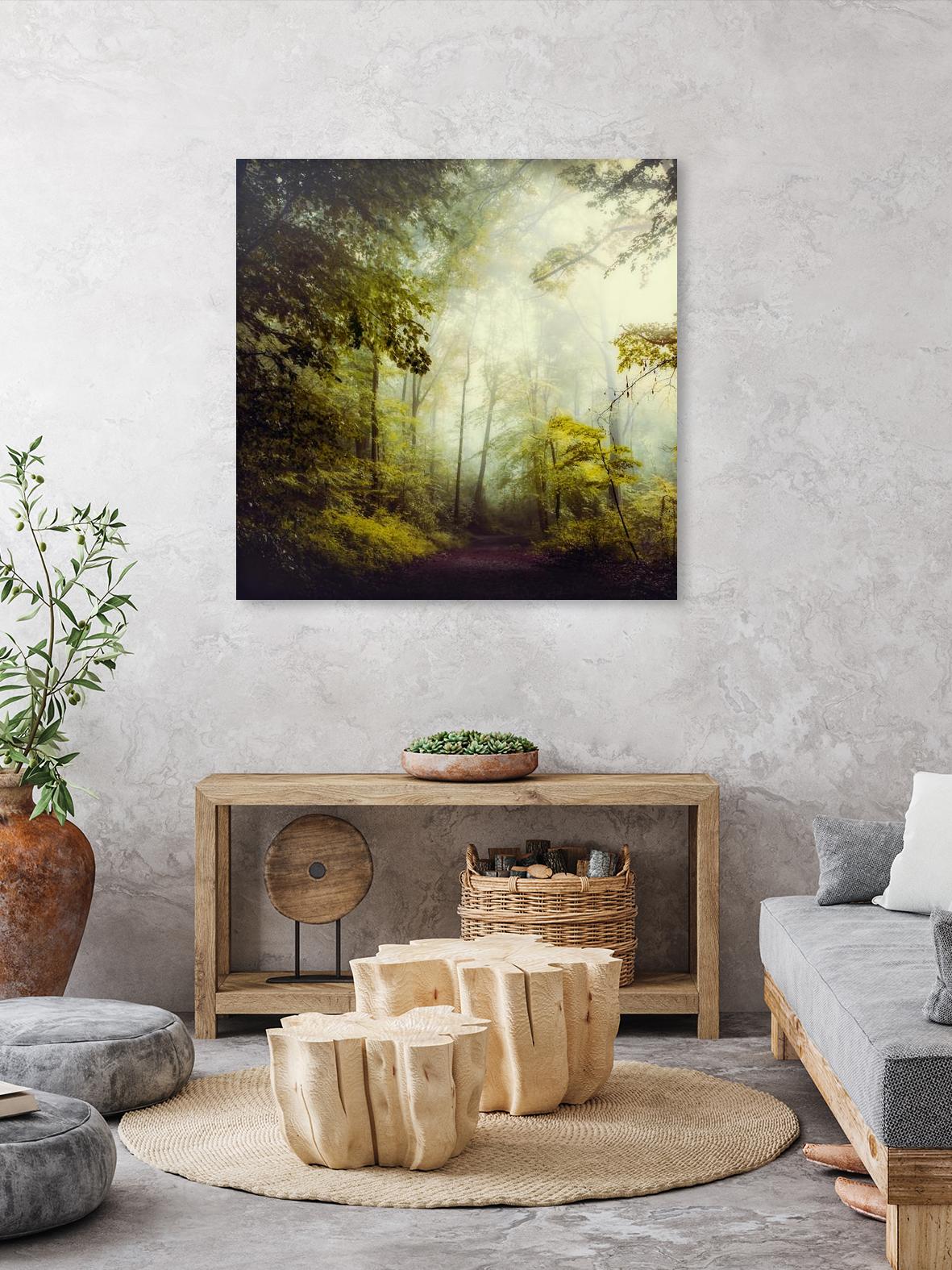 Glorious Woods by Dirk Wuestenhagen on GIANT ART - multicolor photography; landscapes