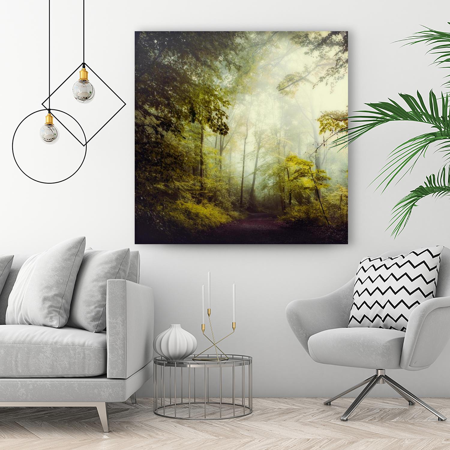 Glorious Woods by Dirk Wuestenhagen on GIANT ART - multicolor photography; landscapes