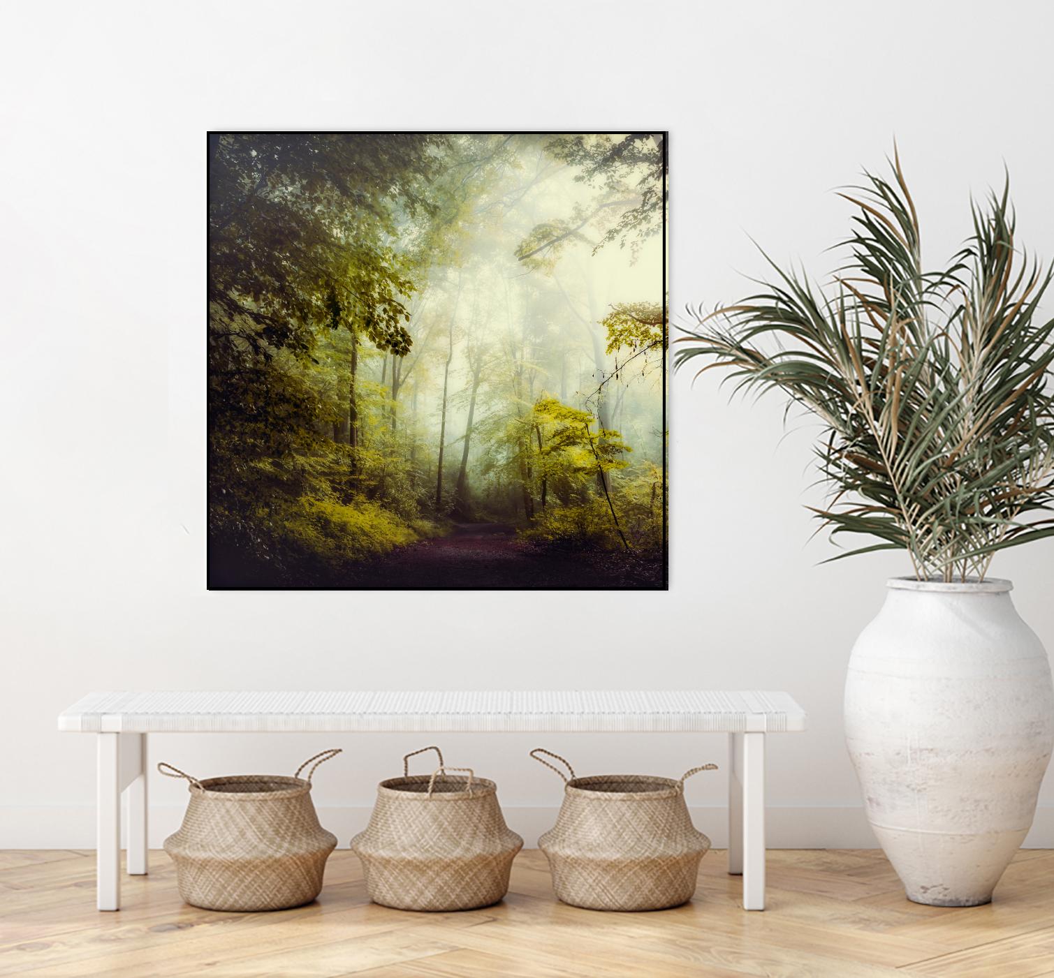 Glorious Woods by Dirk Wuestenhagen on GIANT ART - multicolor photography; landscapes