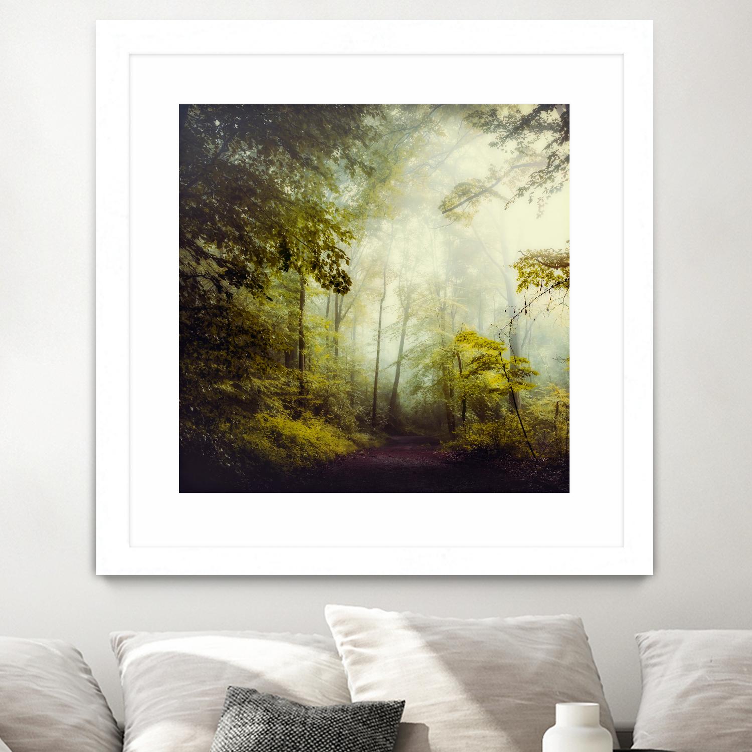 Glorious Woods by Dirk Wuestenhagen on GIANT ART - multicolor photography; landscapes