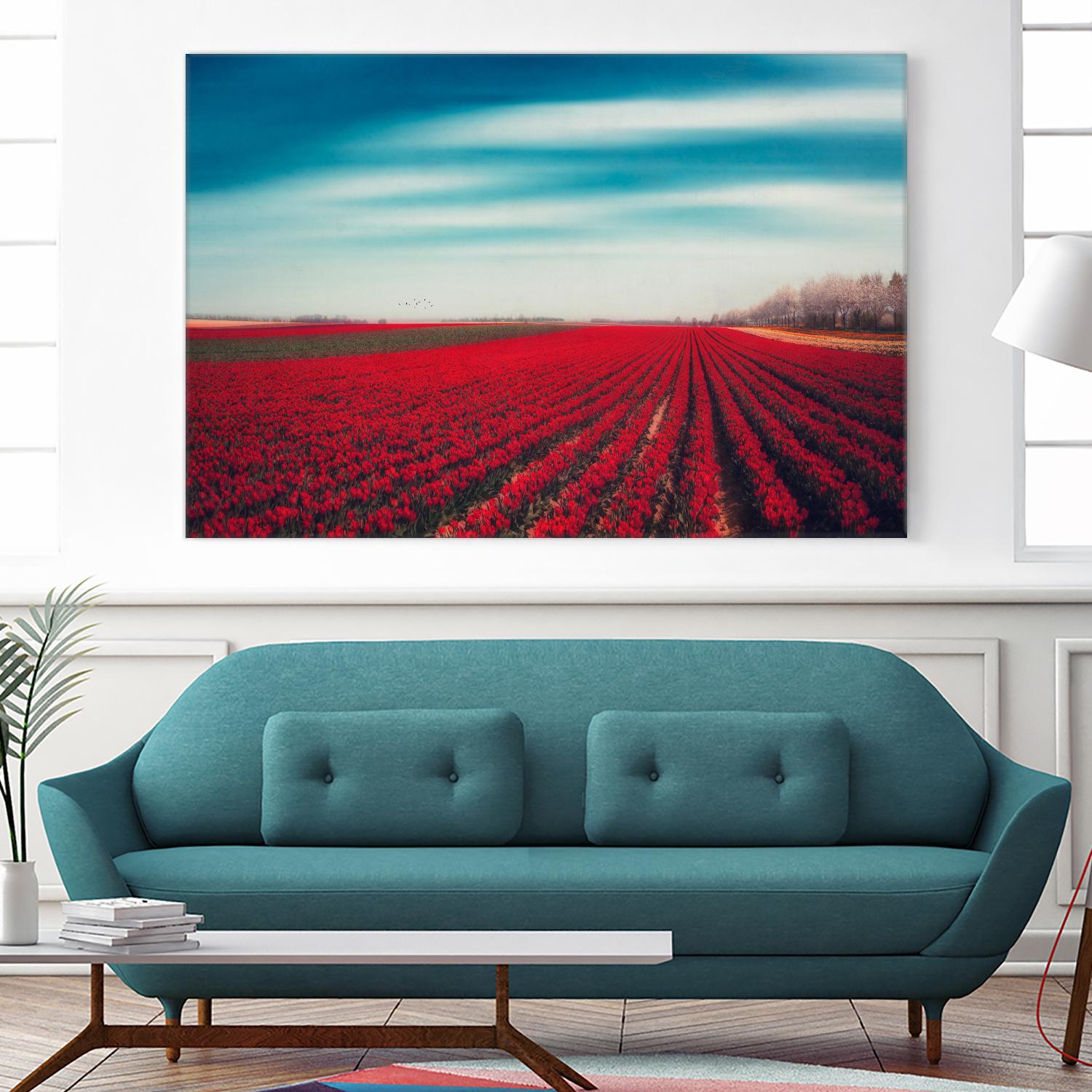Tulips by Dirk Wuestenhagen on GIANT ART - multicolor photography; landscapes