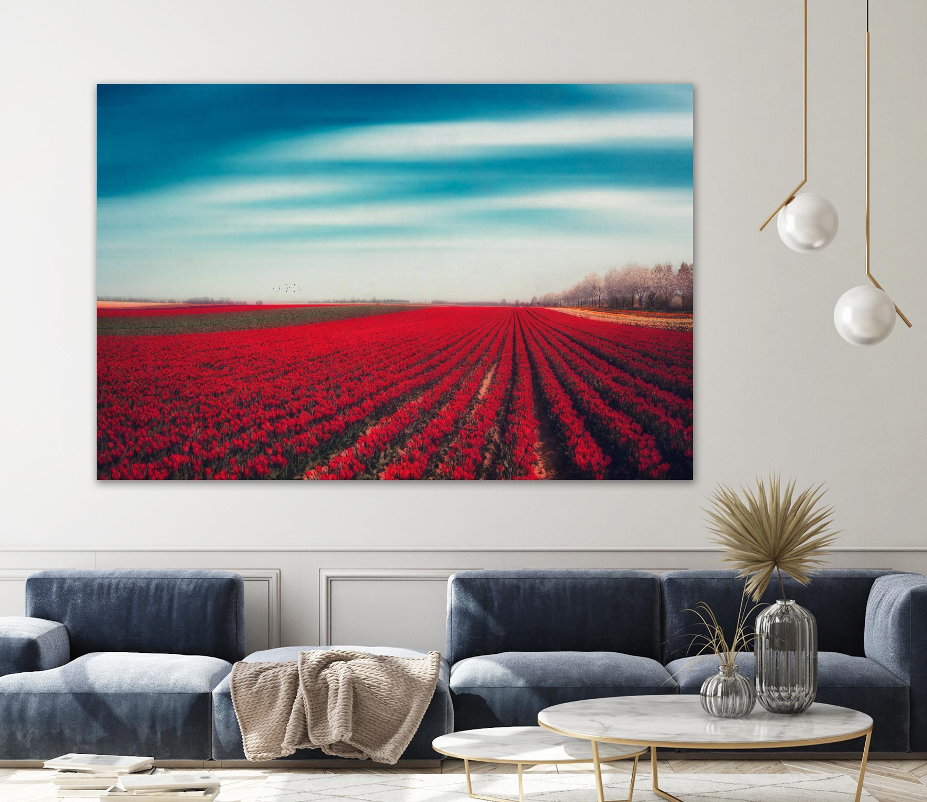 Tulips by Dirk Wuestenhagen on GIANT ART - multicolor photography; landscapes