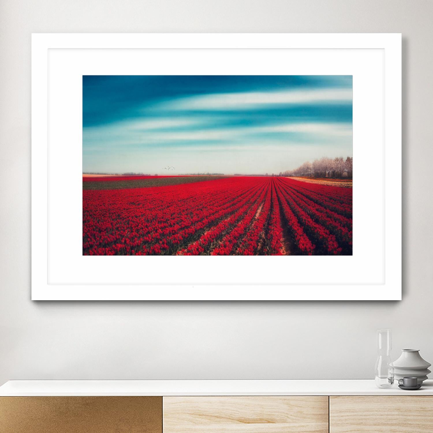 Tulips by Dirk Wuestenhagen on GIANT ART - multicolor photography; landscapes