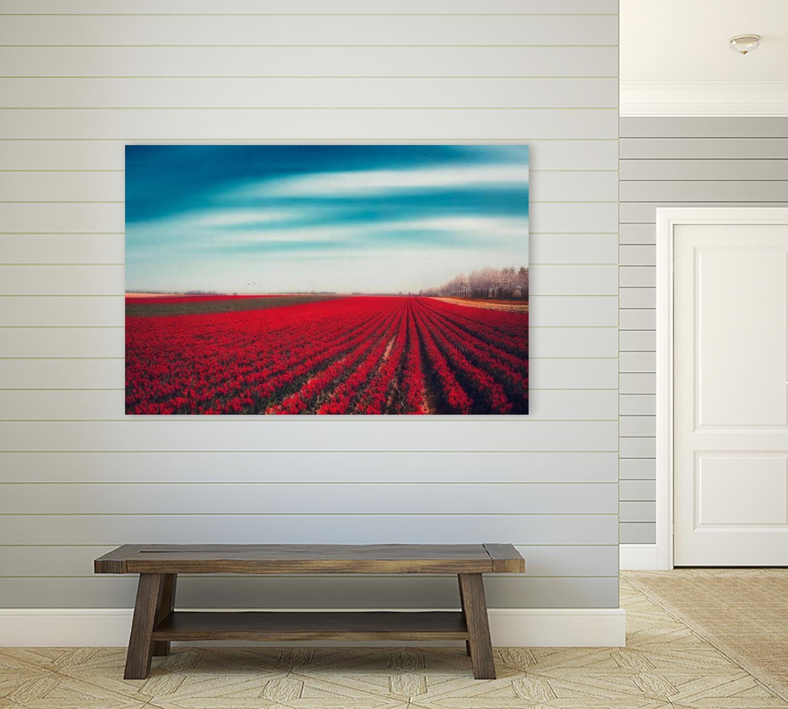 Tulips by Dirk Wuestenhagen on GIANT ART - multicolor photography; landscapes
