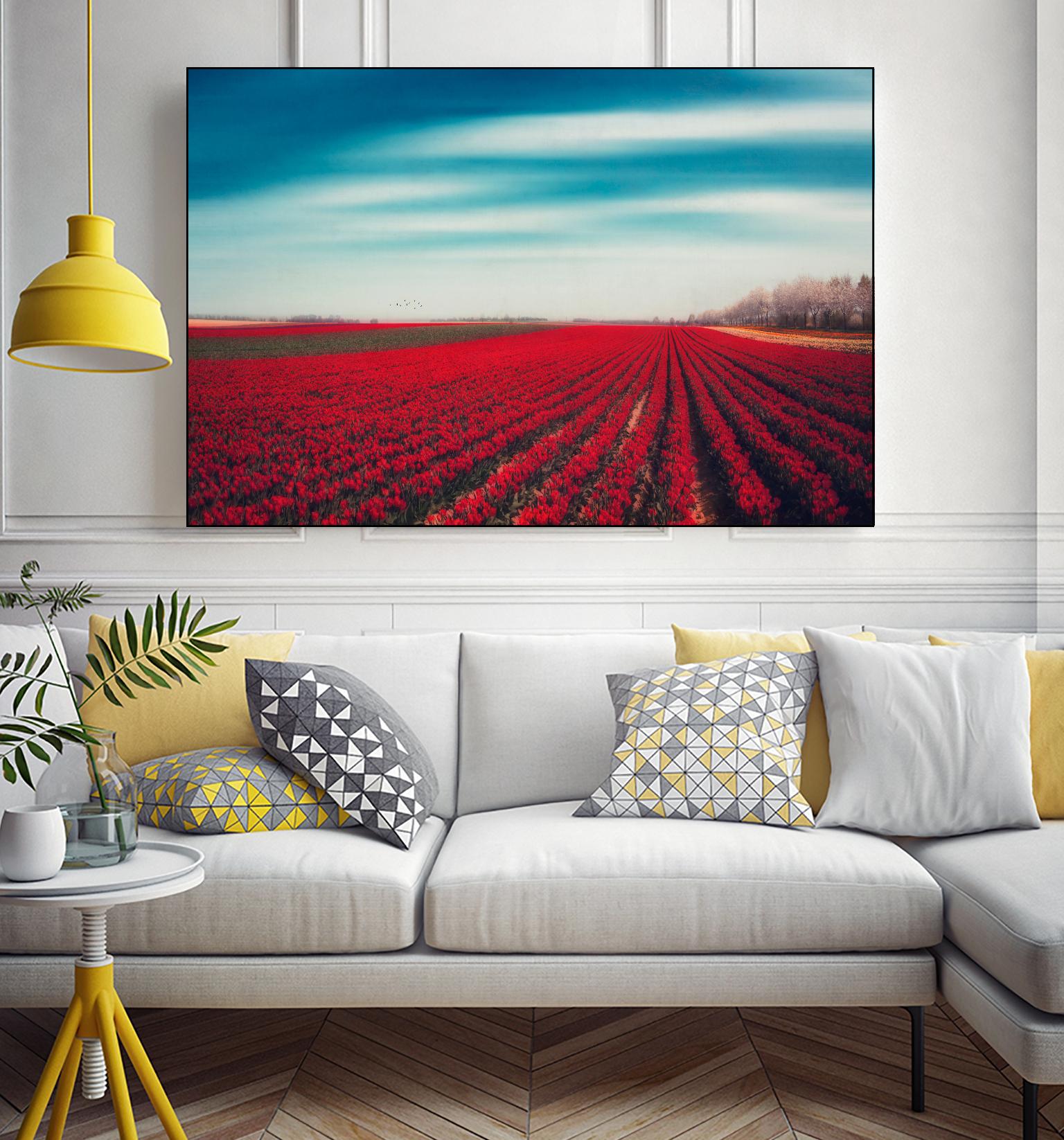 Tulips by Dirk Wuestenhagen on GIANT ART - multicolor photography; landscapes