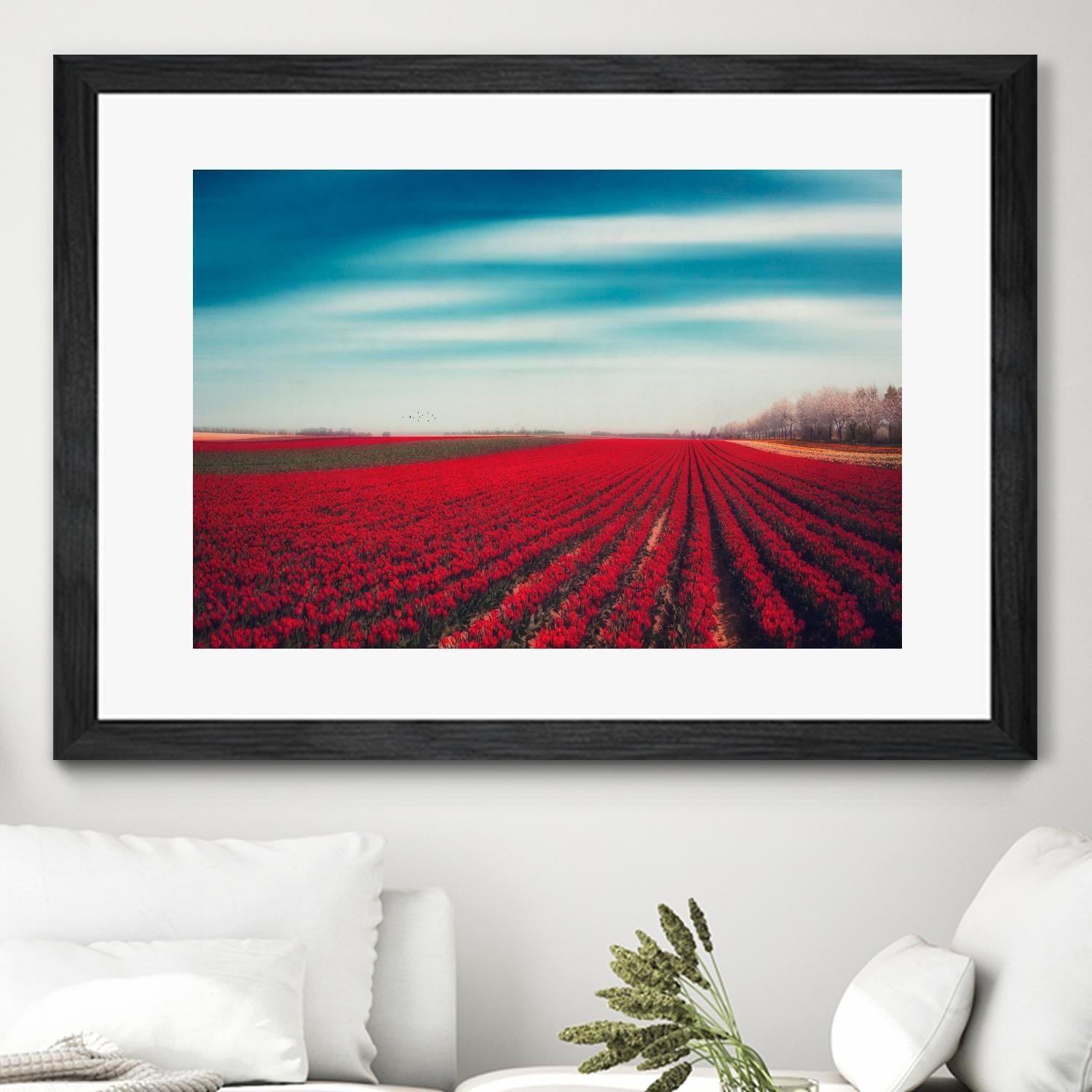Tulips by Dirk Wuestenhagen on GIANT ART - multicolor photography; landscapes