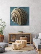 Three Shades of Blue Conch by Dennis Frates on GIANT ART - beige nautical