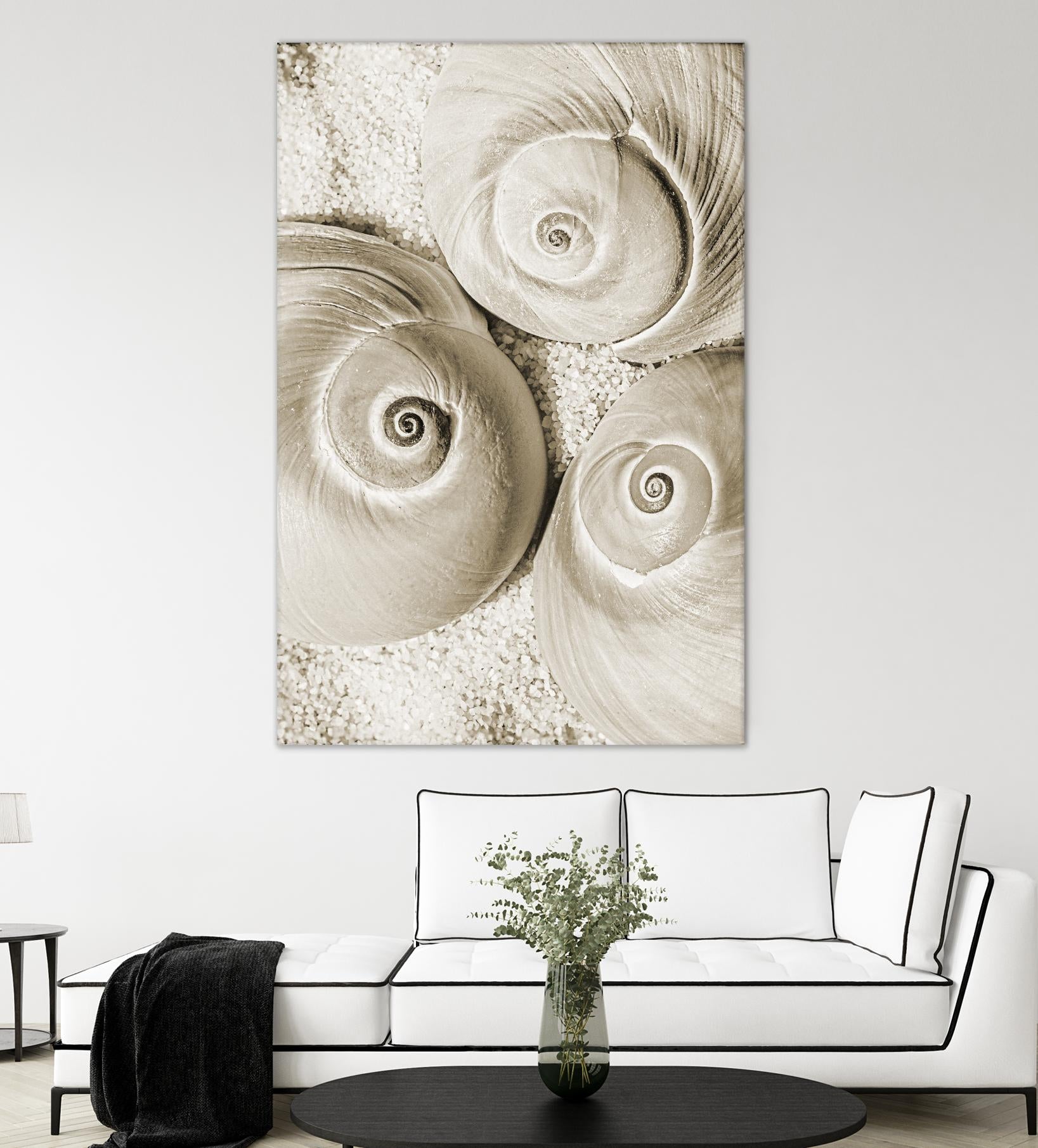 Sea Shell II by Norm Stelfox on GIANT ART - grey nautical