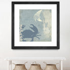 Ocean Life II by PI Studio on GIANT ART - beige nautical