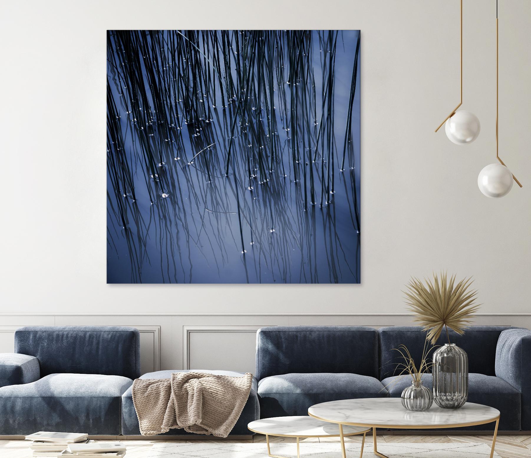 Lily Pond Blue III by Rebecca Cozart on GIANT ART - black photo art