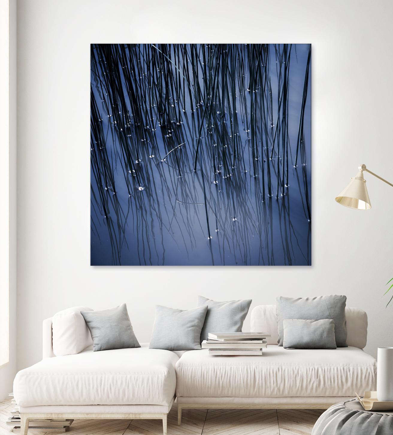 Lily Pond Blue III by Rebecca Cozart on GIANT ART - black photo art