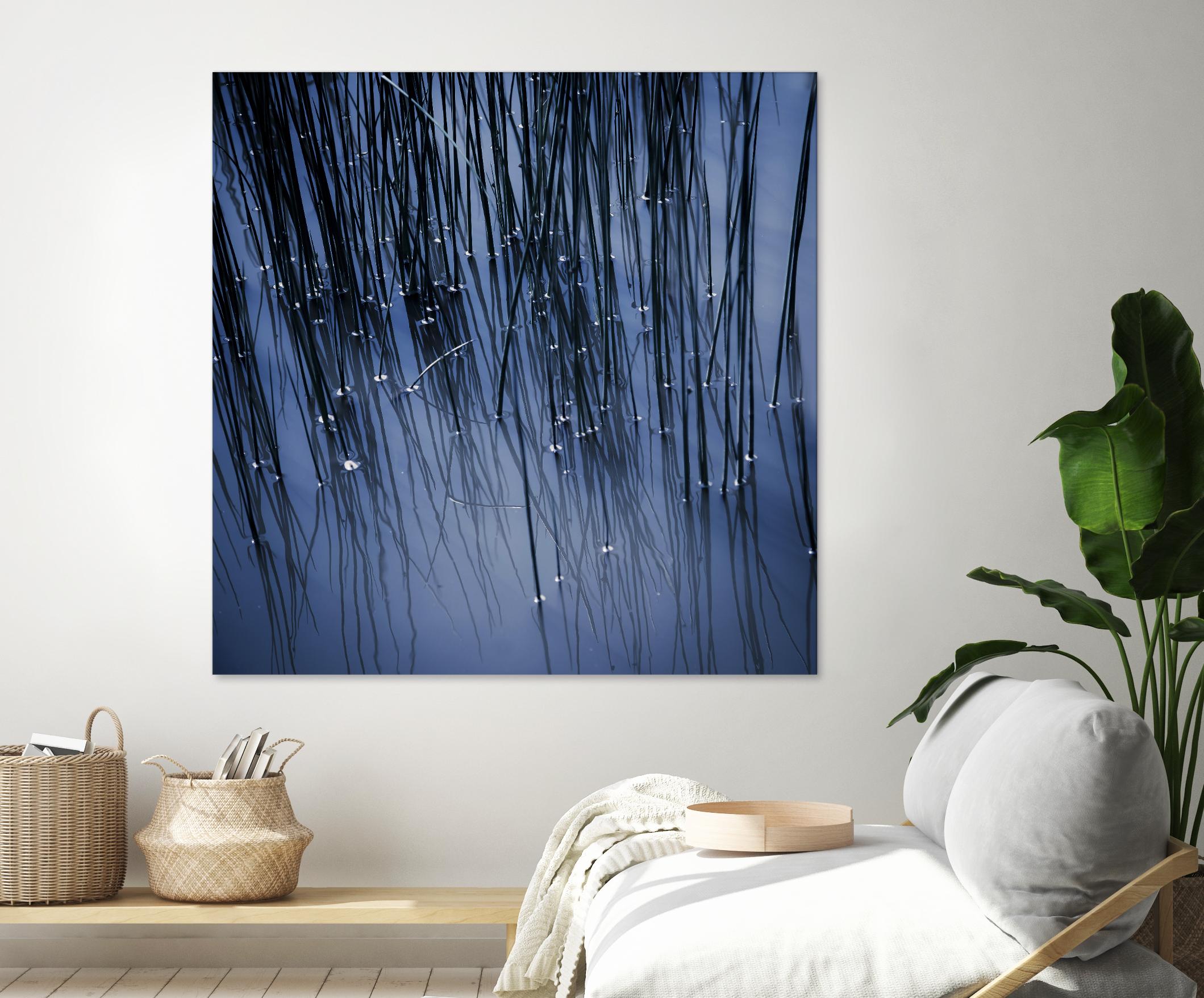 Lily Pond Blue III by Rebecca Cozart on GIANT ART - black photo art