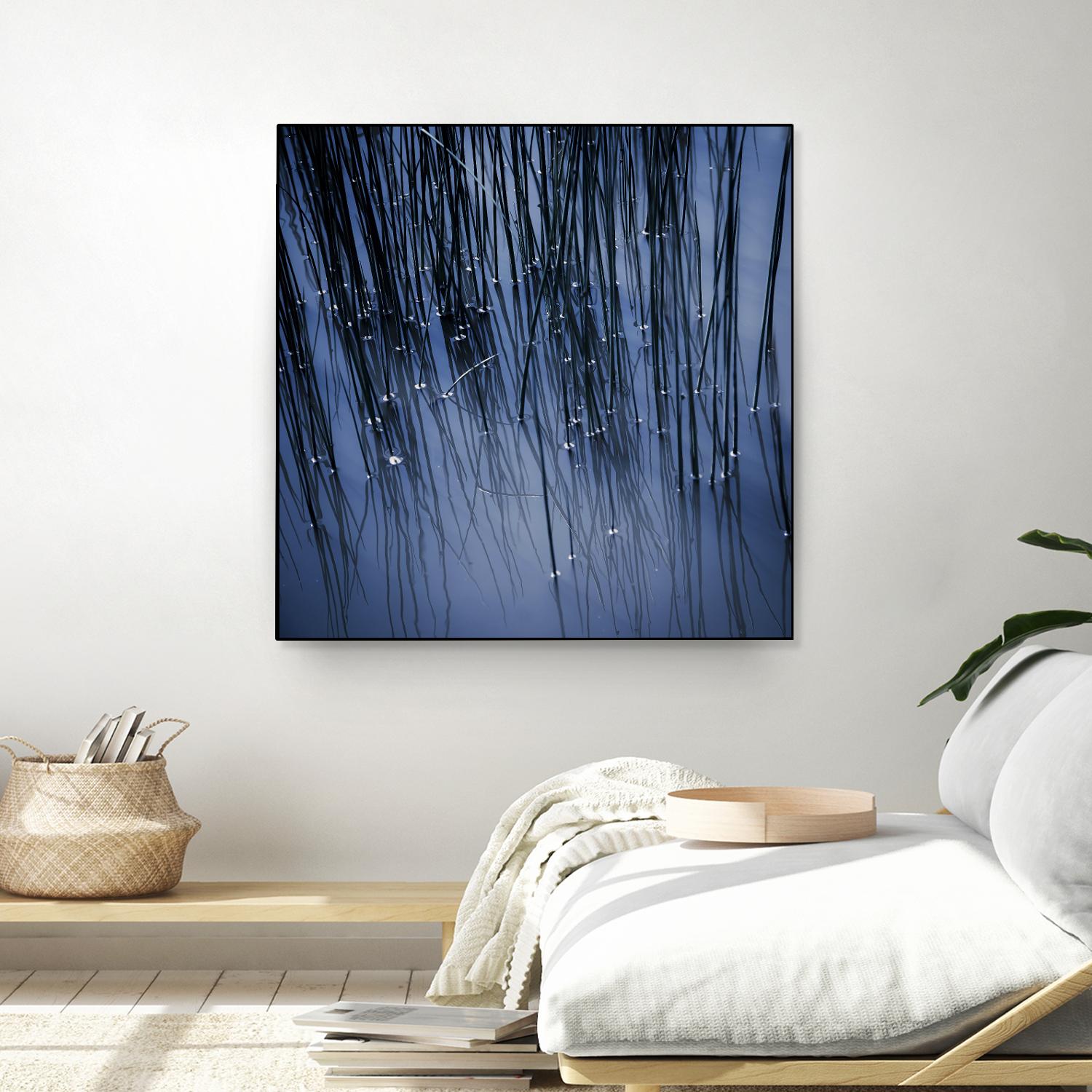 Lily Pond Blue III by Rebecca Cozart on GIANT ART - black photo art