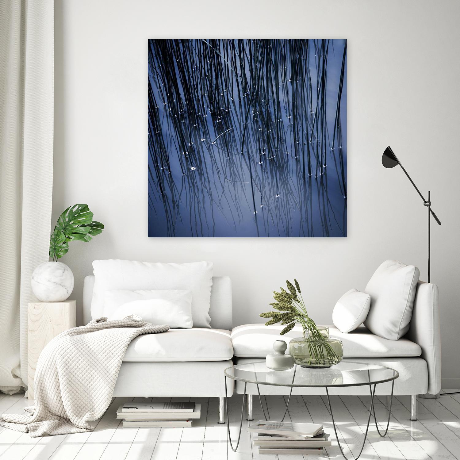 Lily Pond Blue III by Rebecca Cozart on GIANT ART - black photo art