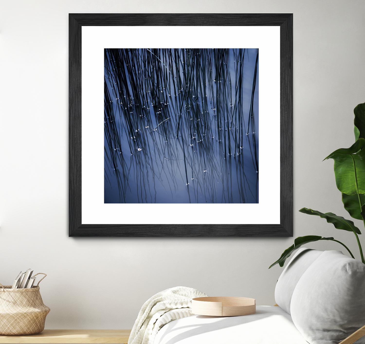Lily Pond Blue III by Rebecca Cozart on GIANT ART - black photo art