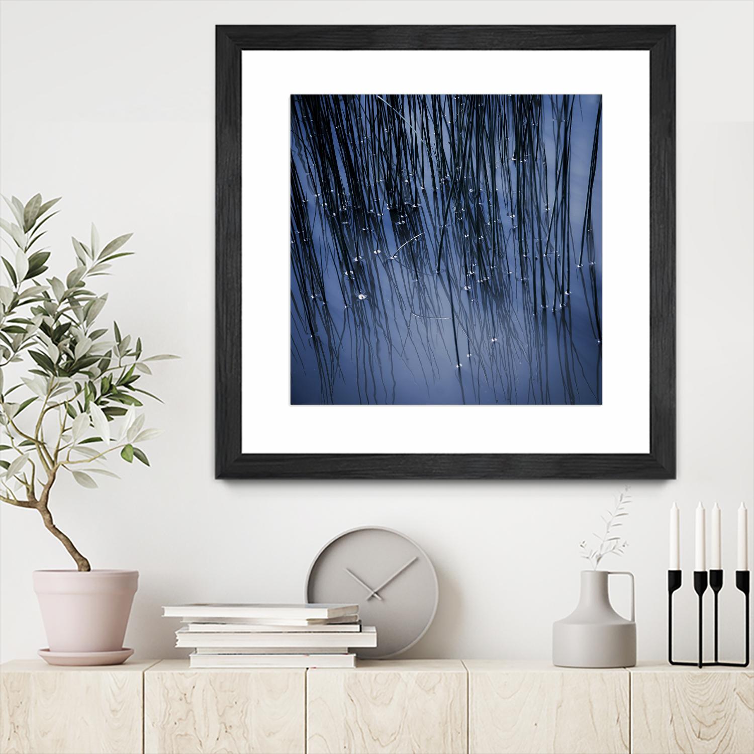 Lily Pond Blue III by Rebecca Cozart on GIANT ART - black photo art