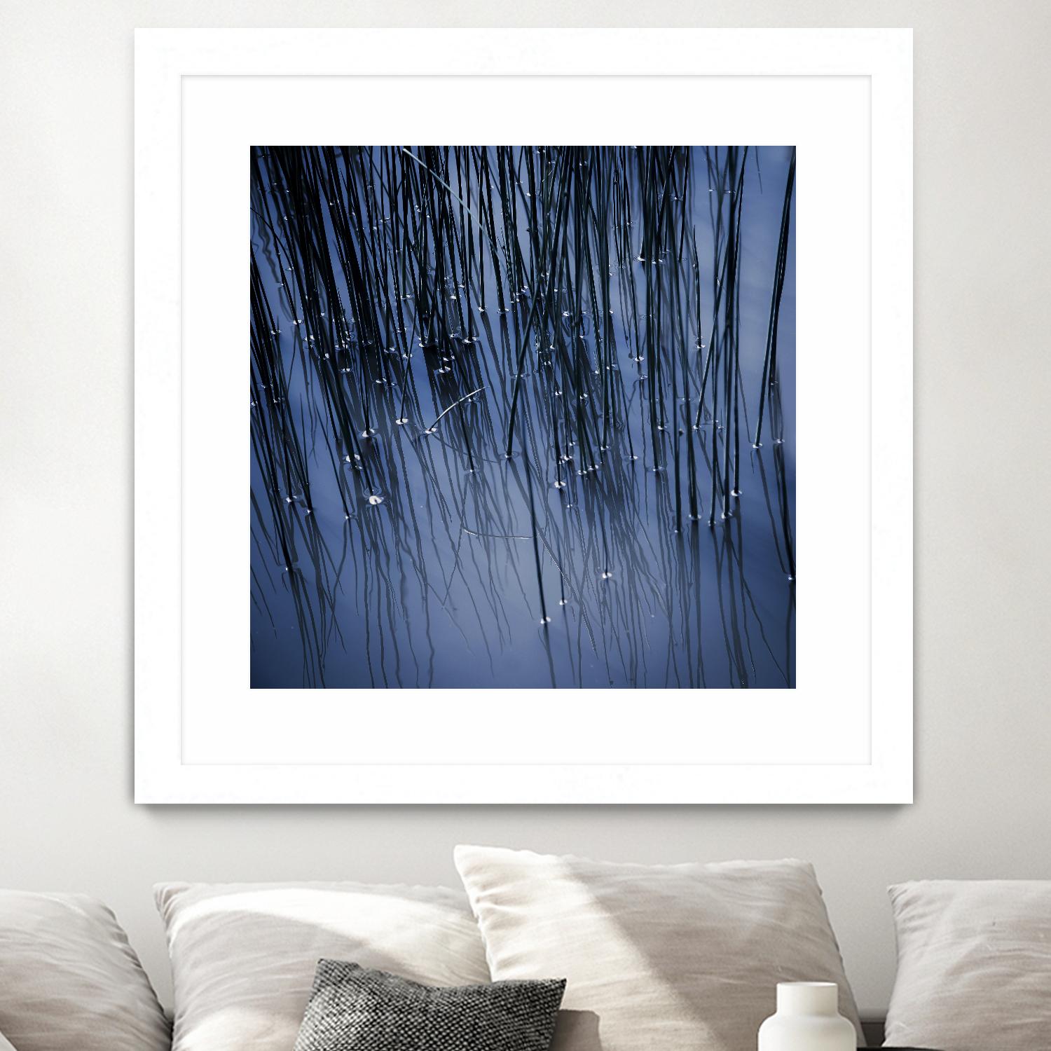 Lily Pond Blue III by Rebecca Cozart on GIANT ART - black photo art