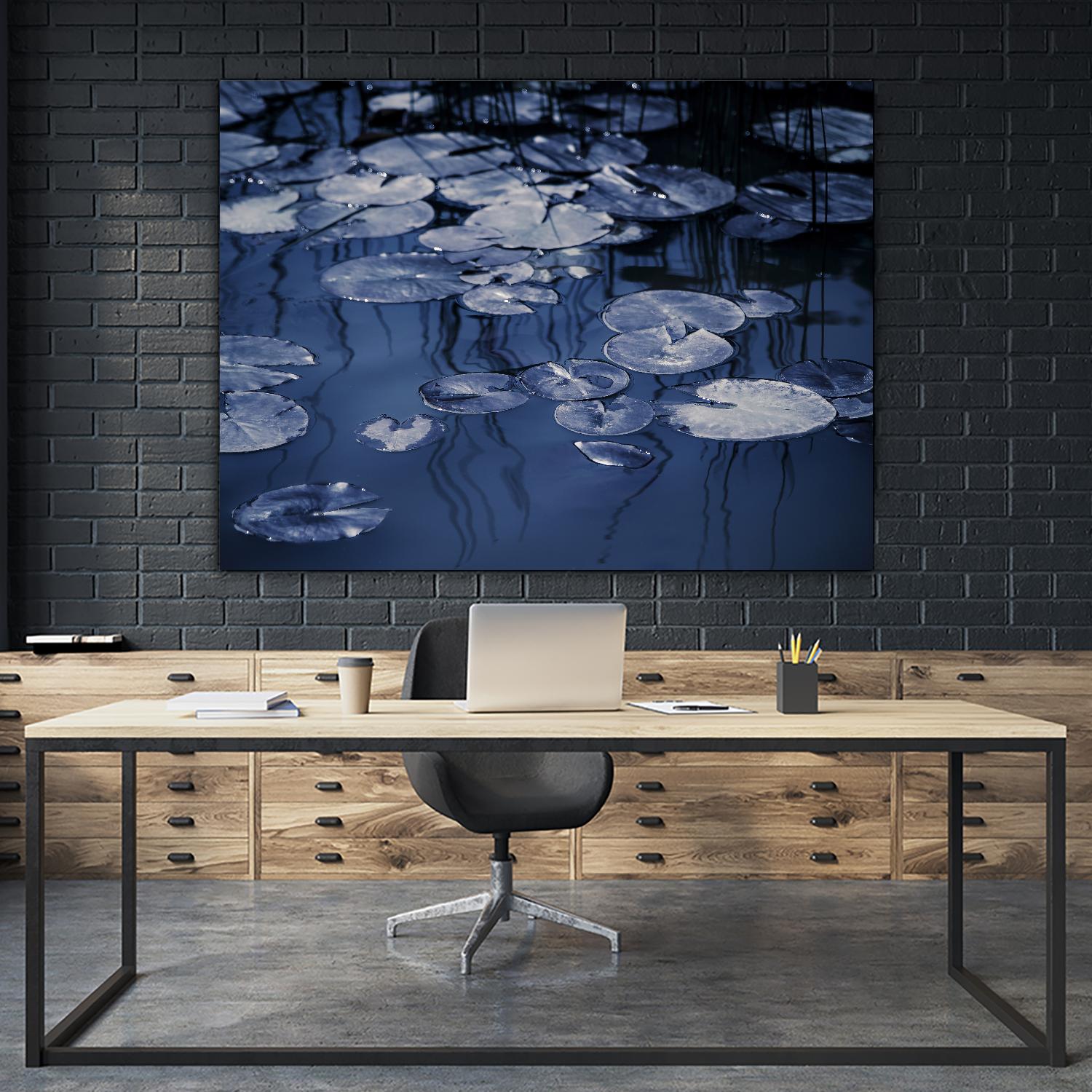 Lili Pond Blue VII by Marc Schacter on GIANT ART - grey photo art