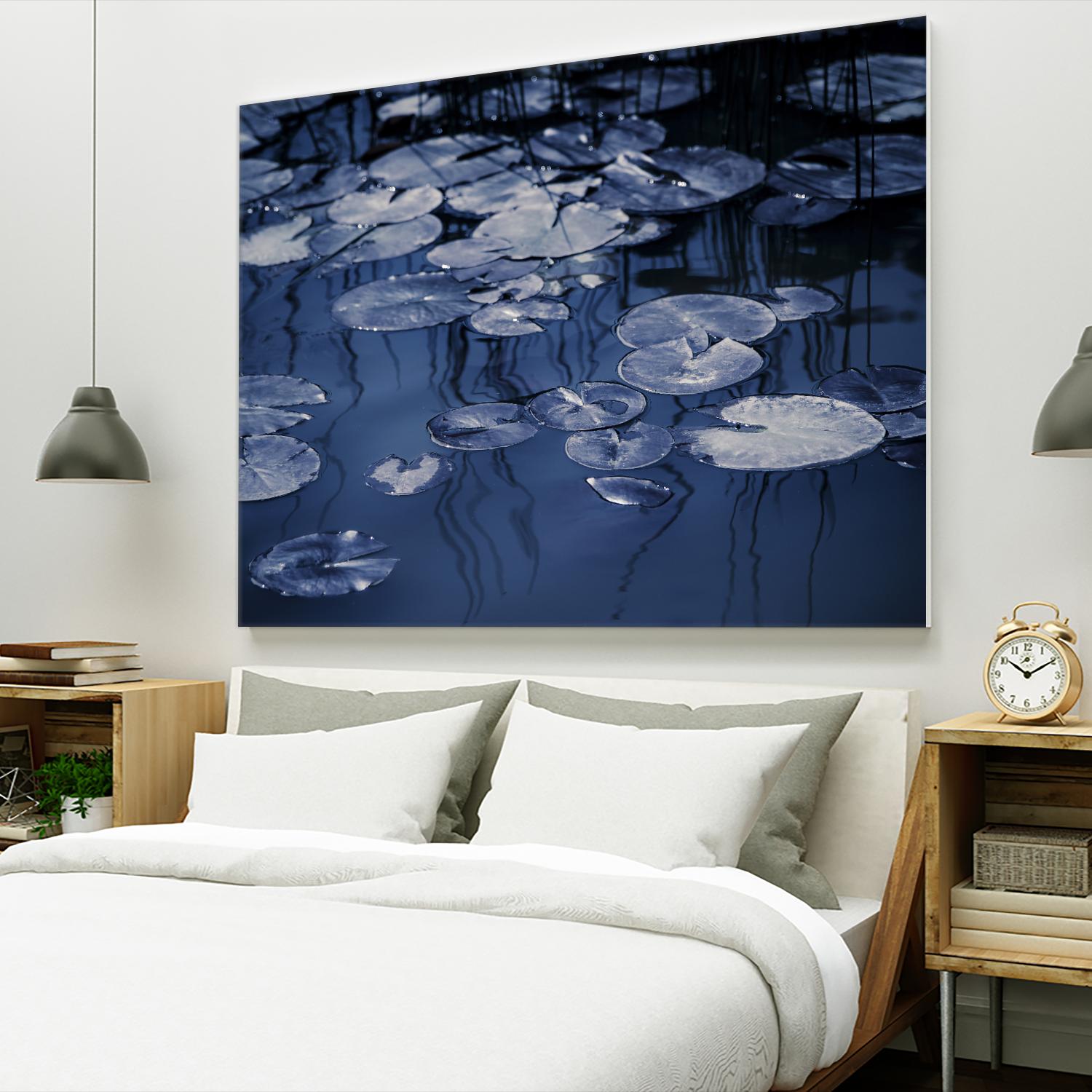 Lili Pond Blue VII by Marc Schacter on GIANT ART - grey photo art