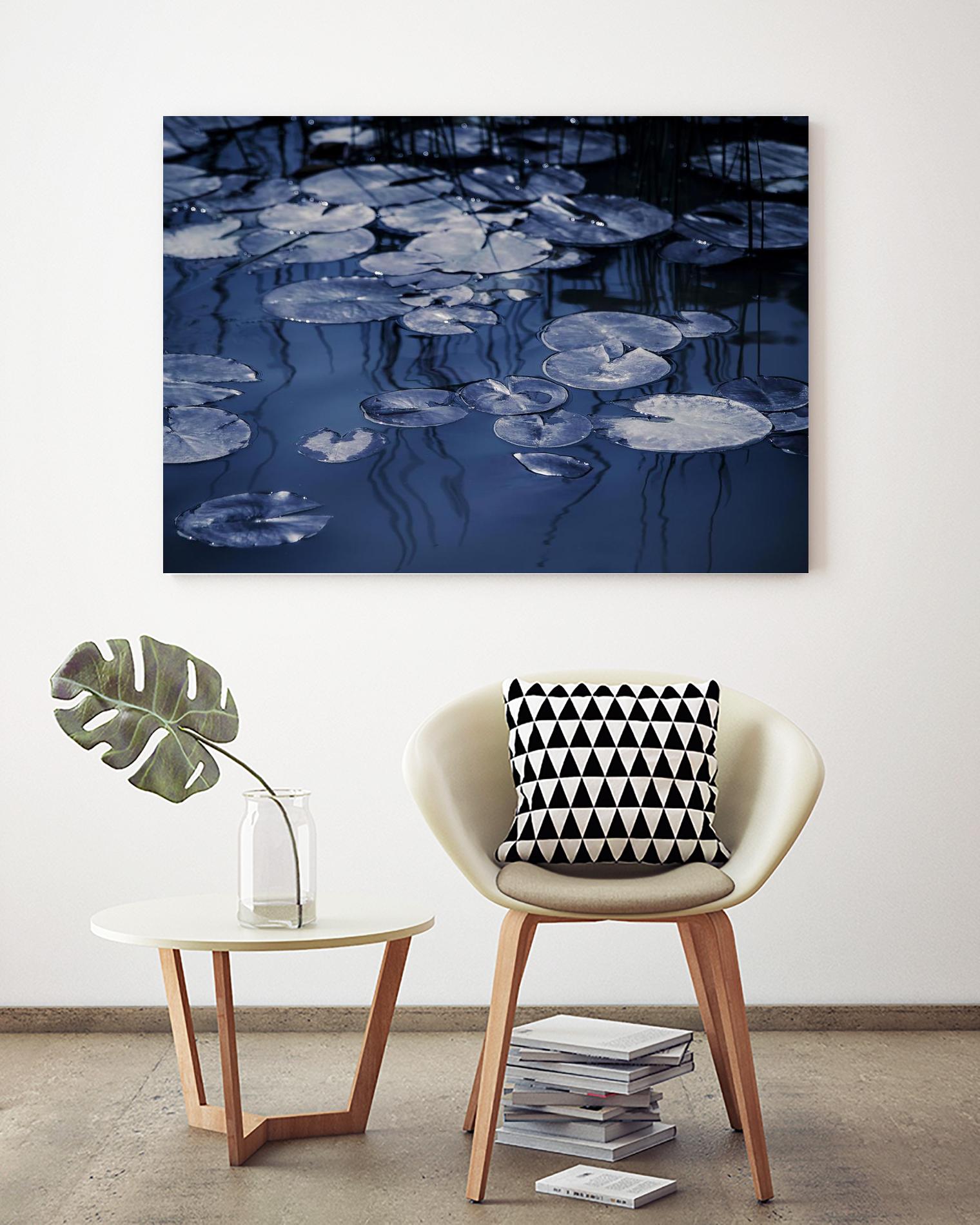 Lili Pond Blue VII by Marc Schacter on GIANT ART - grey photo art
