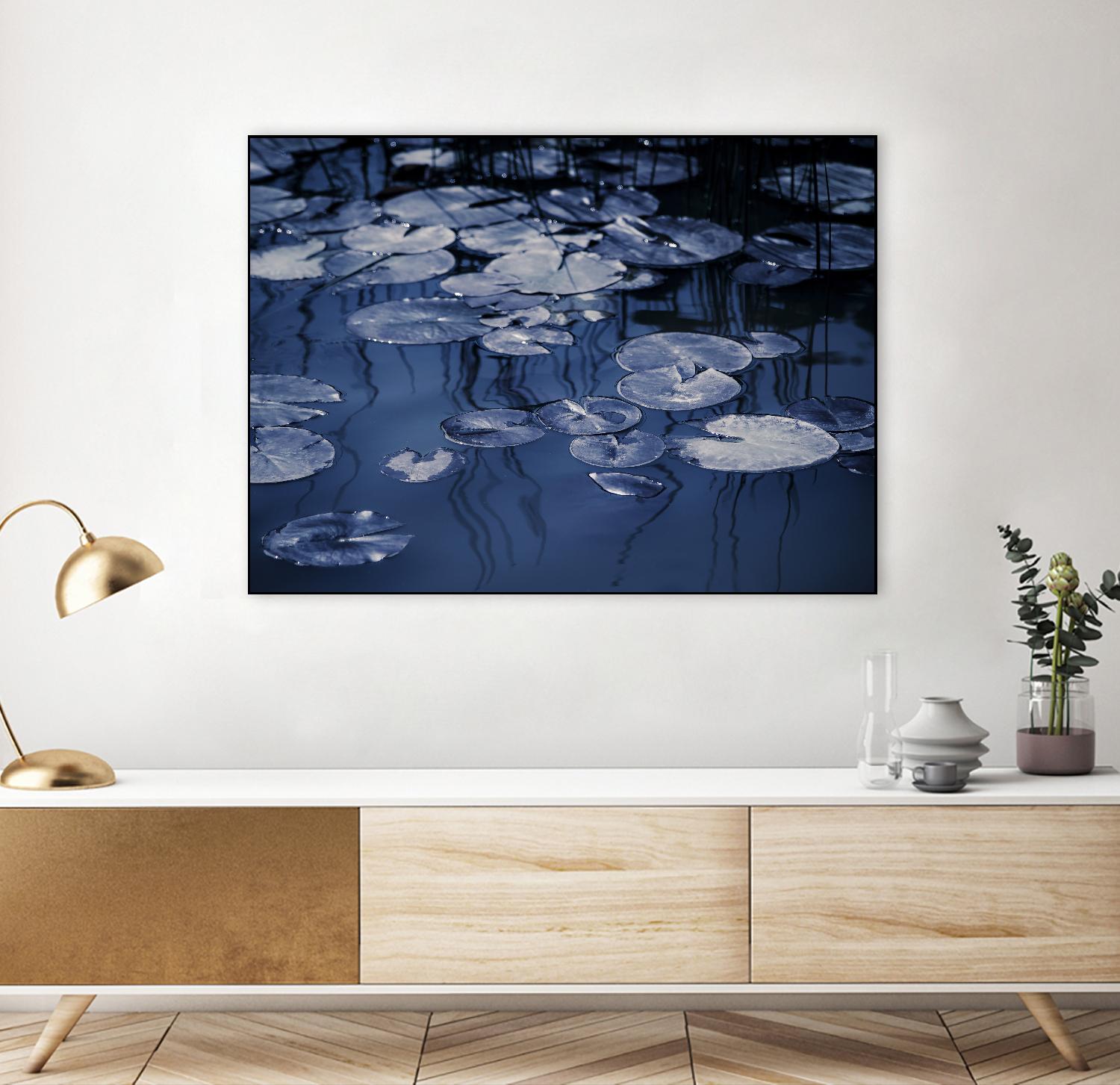 Lili Pond Blue VII by Marc Schacter on GIANT ART - grey photo art