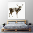 Stag by Edward Selkirk on GIANT ART - brown animals