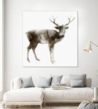 Stag by Edward Selkirk on GIANT ART - brown animals