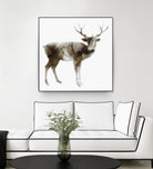 Stag by Edward Selkirk on GIANT ART - brown animals