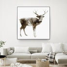Stag by Edward Selkirk on GIANT ART - brown animals