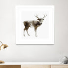 Stag by Edward Selkirk on GIANT ART - brown animals