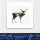 Stag by Edward Selkirk on GIANT ART - brown animals