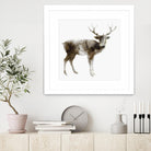 Stag by Edward Selkirk on GIANT ART - brown animals