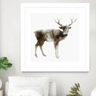 Stag by Edward Selkirk on GIANT ART - brown animals