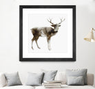 Stag by Edward Selkirk on GIANT ART - brown animals