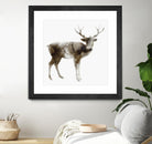 Stag by Edward Selkirk on GIANT ART - brown animals
