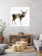 Stag by Edward Selkirk on GIANT ART - brown animals