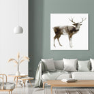Stag by Edward Selkirk on GIANT ART - brown animals