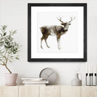 Stag by Edward Selkirk on GIANT ART - brown animals
