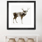 Stag by Edward Selkirk on GIANT ART - brown animals