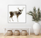 Stag by Edward Selkirk on GIANT ART - brown animals