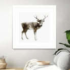 Stag by Edward Selkirk on GIANT ART - brown animals
