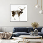 Stag by Edward Selkirk on GIANT ART - brown animals