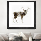 Stag by Edward Selkirk on GIANT ART - brown animals